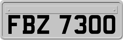 FBZ7300