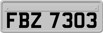 FBZ7303