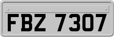 FBZ7307