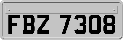 FBZ7308