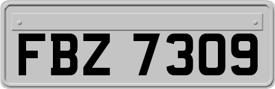 FBZ7309