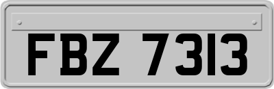 FBZ7313