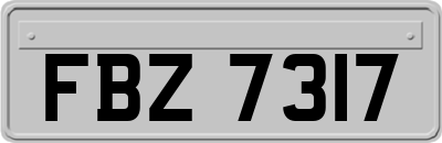 FBZ7317