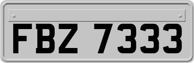 FBZ7333