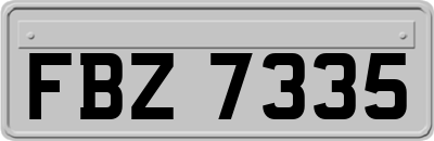 FBZ7335