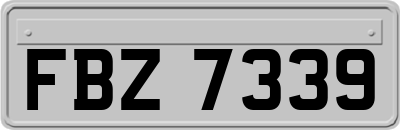 FBZ7339