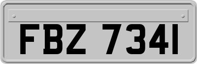 FBZ7341