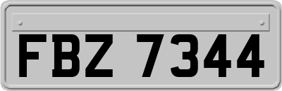 FBZ7344