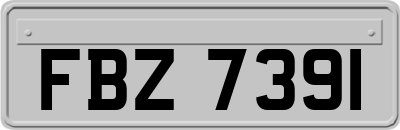 FBZ7391