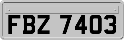 FBZ7403