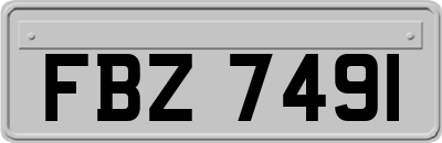 FBZ7491