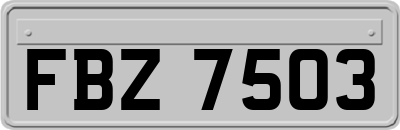 FBZ7503