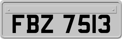 FBZ7513