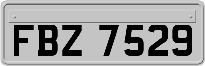 FBZ7529