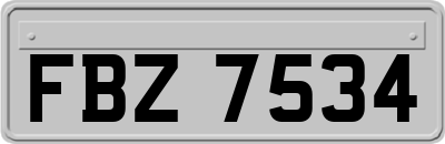 FBZ7534