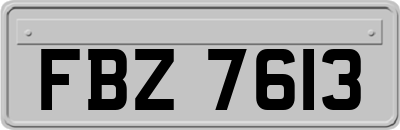 FBZ7613