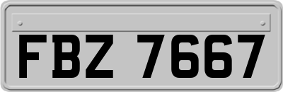 FBZ7667