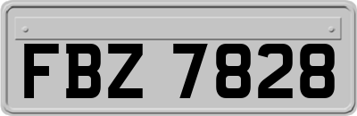FBZ7828
