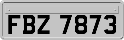 FBZ7873
