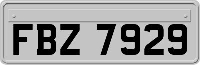 FBZ7929