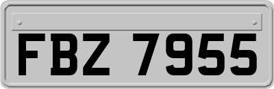 FBZ7955