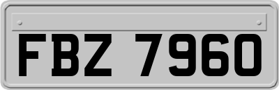 FBZ7960
