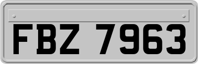 FBZ7963