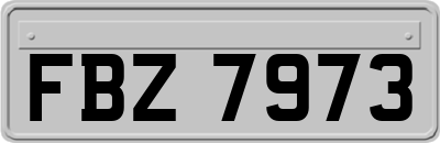 FBZ7973