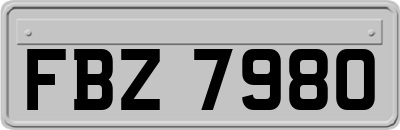 FBZ7980