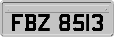 FBZ8513