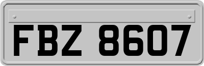 FBZ8607