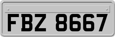 FBZ8667