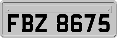 FBZ8675