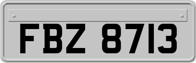 FBZ8713