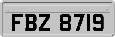 FBZ8719
