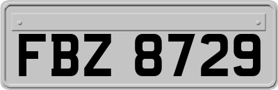 FBZ8729