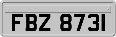 FBZ8731