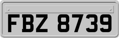 FBZ8739