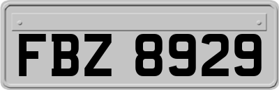 FBZ8929