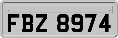 FBZ8974