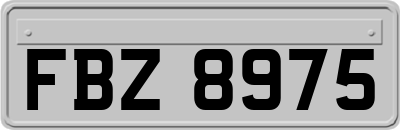 FBZ8975