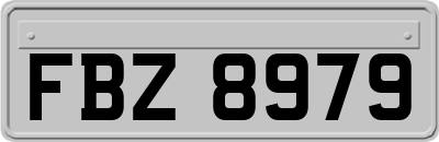 FBZ8979