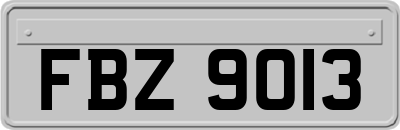 FBZ9013