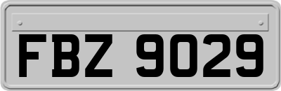 FBZ9029