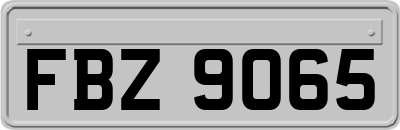 FBZ9065