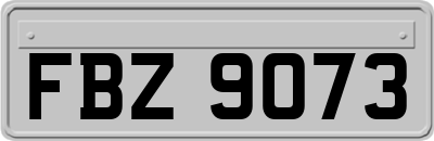 FBZ9073