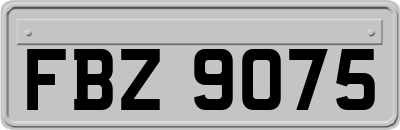 FBZ9075
