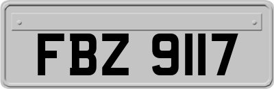 FBZ9117