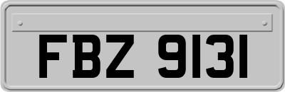 FBZ9131
