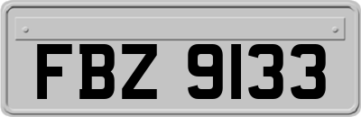 FBZ9133